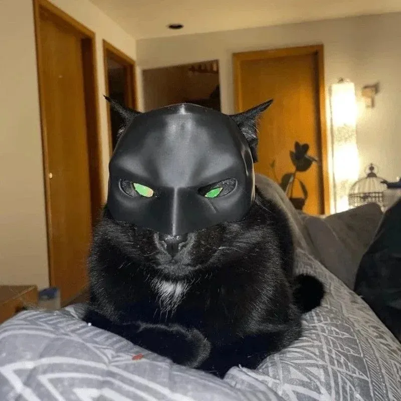 3D Printing Foto - 3D Baskılı Kedi Avenger Maskesi Yarasa